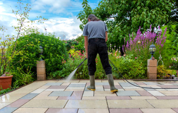 Best Animal Enclosure Cleaning  in Elizabethtown, KY
